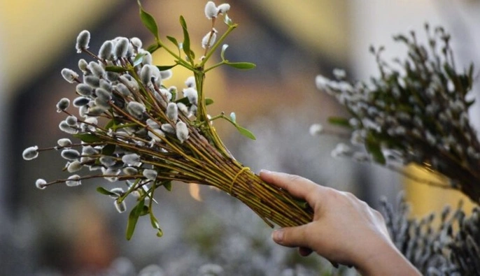 Почему в Вербное воскресенье бьют вербой: настоящий смысл традиции, о котором мало кто знает