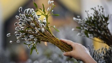 Чому у Вербну неділю б'ють вербою: справжній зміст традиції, про який мало хто знає