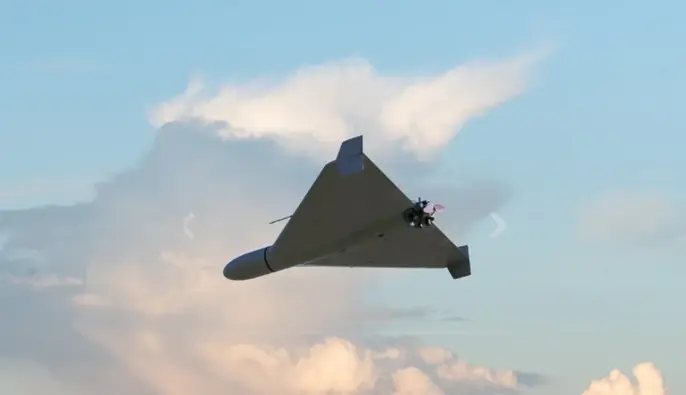 Посол ЕС натолкнулась на обломок 