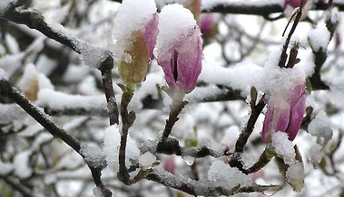 Холод, мокрый снег и грозы: какую погоду ждать на Пасхальной неделе