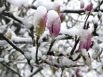 Холоднеча, мокрий сніг і грози: яку погоду чекати на Великодньому тижні 