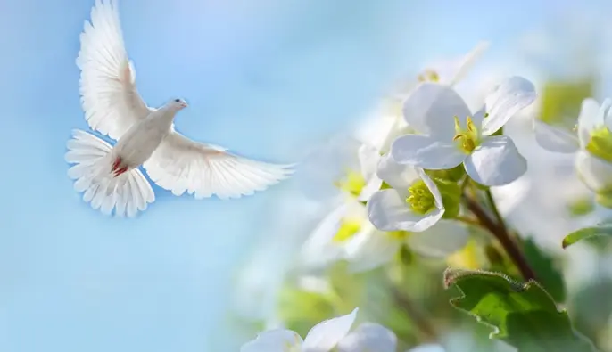 Благовіщення Пресвятої Богородиці за старим стилем: душевні привітання і яскраві листівки до свята