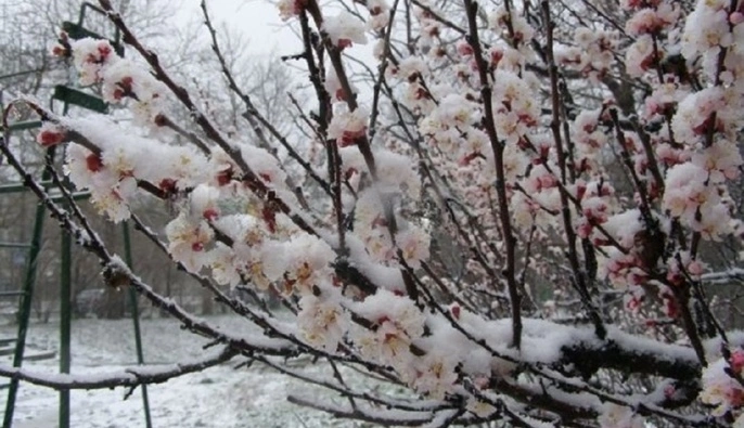 Дощі, вітер і мокрий сніг: синоптики дали прогноз на 8 квітня