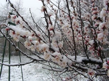 Дожди, ветер и мокрый снег: синоптики дали прогноз на 8 апреля