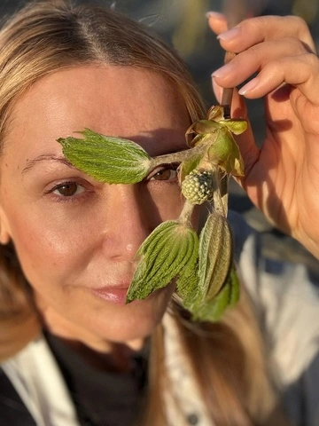 "Вдохновение в каждом мгновении": Ольга Сумская обрадовалась бутонам каштана и наделала нежных кадров