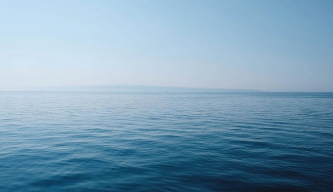 Україна робить ставку на Туреччину та Сирію, щоб протистояти Росії в Чорному морі — Politico