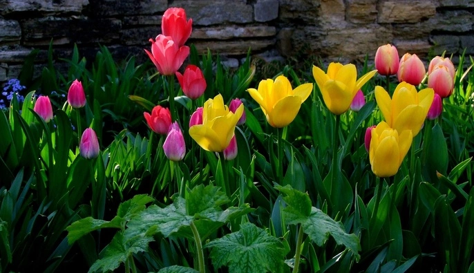 Сухо и тепло, но не без сюрпризов: прогноз погоды на среду