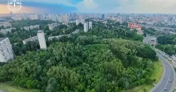 Забудовник програв апеляцію у справі про землю заказника "Протасів Яр" у Києві — прокуратура