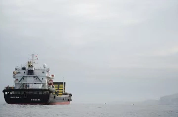 В сутки через Ормузский пролив прошли более 20 танкеров и грузовых судов — медиа