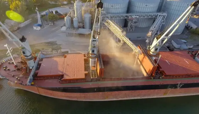 Украина просит Израиль объяснить, почему в их порт зашло судно с контрабандной пшеницей