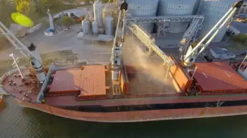 Украина просит Израиль объяснить, почему в их порт зашло судно с контрабандной пшеницей