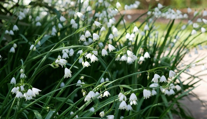Дожди, туманы и ночные заморозки: прогноз погоды на выходные 18-19 апреля