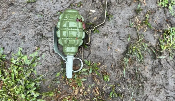 В Днепропетровской области мужчина бросил гранаты в полицейских – пять человек ранены