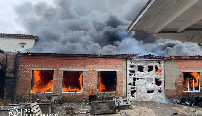 ГСЧС: Россияне атаковали дронами агропредприятие в Черниговской области