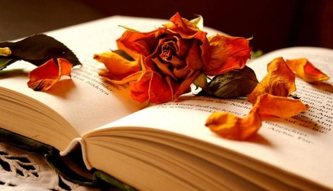 23 квітня — усе про цей день: свята, події, традиції