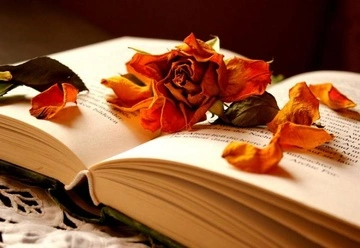 23 апреля — все об этом дне: праздники, события, традиции