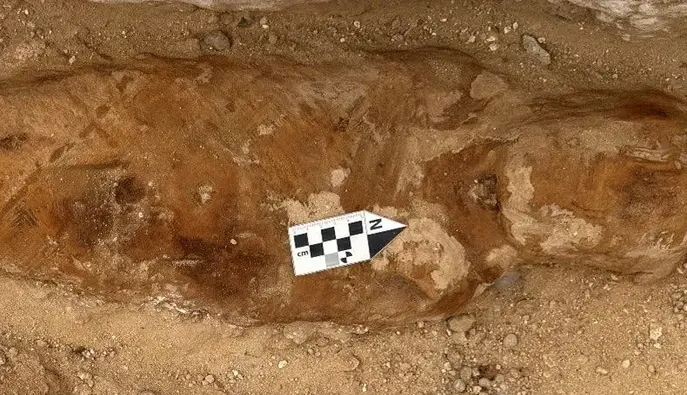 "Іліада" Гомера в мумії: археологи знайшли рідкісний примірник в давньоєгипетській гробниці