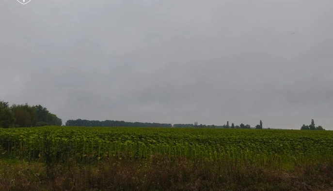 Продавали врожай з радіоактивних земель: в Україні судитимуть організаторів