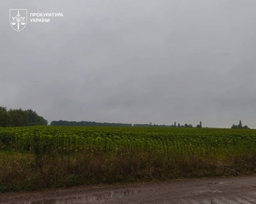 Продавали урожай с радиоактивных земель: в Украине будут судить организаторов