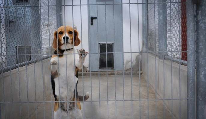 24 квітня — усе про цей день: свята, події, традиції