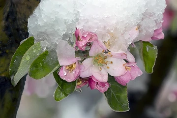 Заморозки, грози і майже літні +25: синоптик прогнозує на вихідних весь погодний спектр