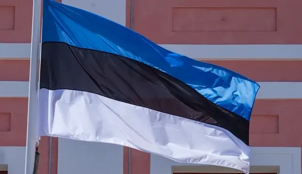 Эстония предлагает направлять доходы от пошлин на товары РФ на восстановление Украины