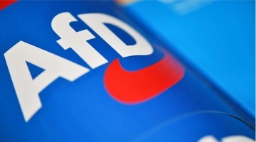 Рейтинг ультраправой партии "Альтернатива для Германии" вырос до рекордного уровня