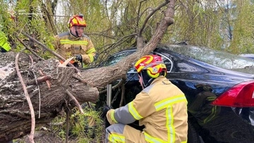 В Киевской области в результате непогоды было обесточено 110 населенных пунктов — ГСЧС