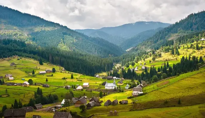 Зеленский ответил на петицию о защите Карпат: дело передали Свириденко и Умерову