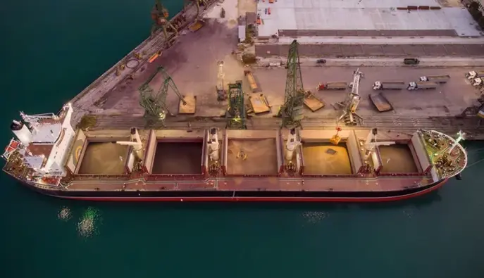 ЄС може ввести санкції проти ізраїльтян за перевезення краденого українського зерна