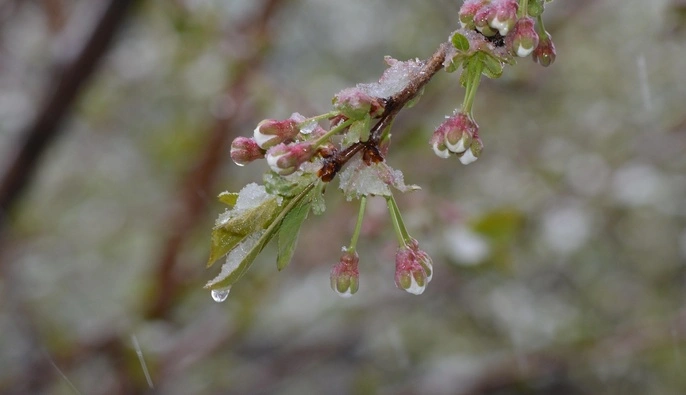 Ветер утихнет, но тепла еще не будет: прогноз синоптика на среду