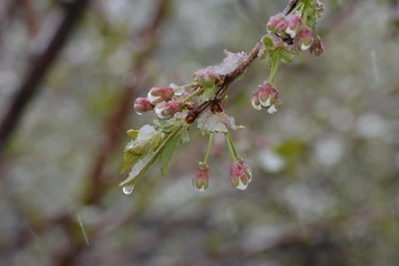 Ветер утихнет, но тепла еще не будет: прогноз синоптика на среду
