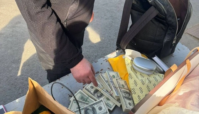 На кордоні зі Словаччиною пес митниці винюхав у речах пішохідки незадекларовану валюту на майже 4 млн грн