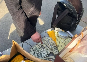 На кордоні зі Словаччиною пес митниці винюхав у речах пішохідки незадекларовану валюту на майже 4 млн грн