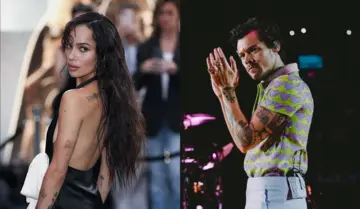 Гарри Стайлс сделал предложение Зои Кравиц после менее чем одного года отношений