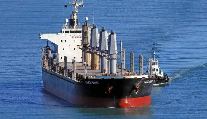 Ізраїльський імпортер відмовився розвантажувати судно з краденим українським зерном 