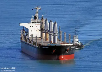 Израильский импортер отказался разгружать судно с ворованным украинским зерном