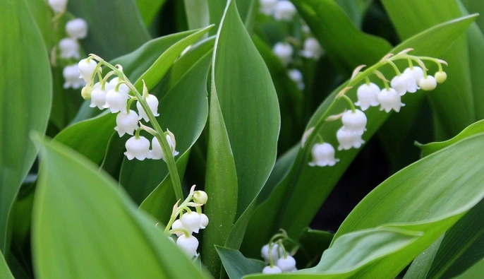 В Україні потепліє до +28: коли прийде довгоочікуване тепло   