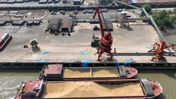 Украина сорвала попытку РФ легализовать похищенное зерно через Израиль – генпрокурор