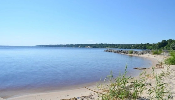 Обміління Київського водосховища загрожує екосистемі: експертка розповіла деталі