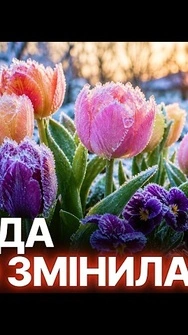 🥶ОЧІКУЙТЕ НА ЗАМОРОЗКИ! Оновлений прогноз погоди від синоптиків | Погода 4 травня