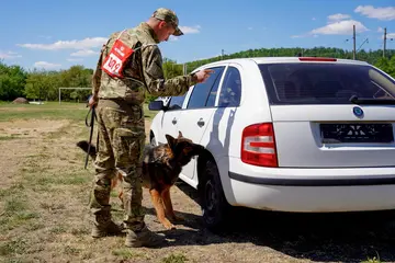Когда собака лучше техники: новые возможности Нацполиции в разминировании