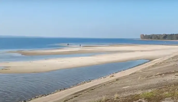 Київське водосховище міліє в межах планового регулювання — експерт