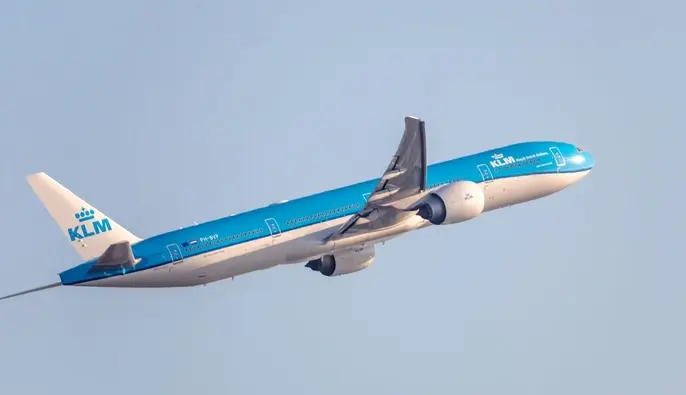 В Нидерландах бортпроводницу KLM госпитализировали с подозрением на хантавирус