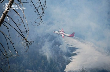 На Закарпатті розглядають версію про можливий підпал лісу на замовлення РФ