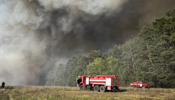 Вогонь охопив 100 гектарів: на Київщині спалахнула лісова пожежа 