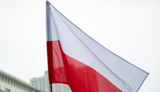 Польща за підтримки Європи посилить армію новою бронетехнікою, авіацією та системами ППО