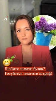 ❗ Штраф за БУЗОК! Ось скільки доведеться платити за зламані гілки! #shorts #новини #бузок