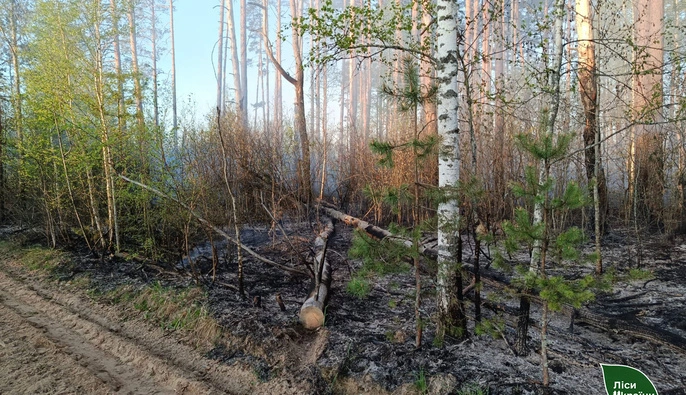 В Черниговской области локализовали лесной пожар