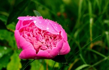 Сонячну погоду ще доведеться почекати: прогноз синоптикині на найближчі дні